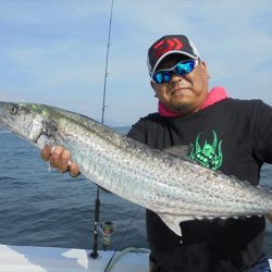 ＨＡＲＵＫＡ丸　はるかまる 釣果