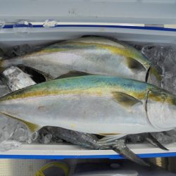 ＨＡＲＵＫＡ丸　はるかまる 釣果