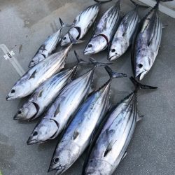 へいみつ丸 釣果