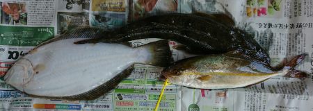 明神釣船 釣果