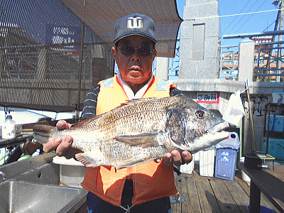 荒川屋 釣果