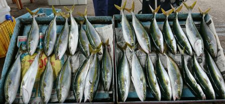 明神釣船 釣果