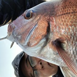 長栄丸(千葉) 釣果