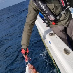 珀宝丸 釣果