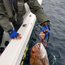 珀宝丸 釣果