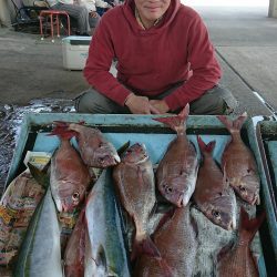 明神釣船 釣果