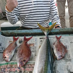 明神釣船 釣果