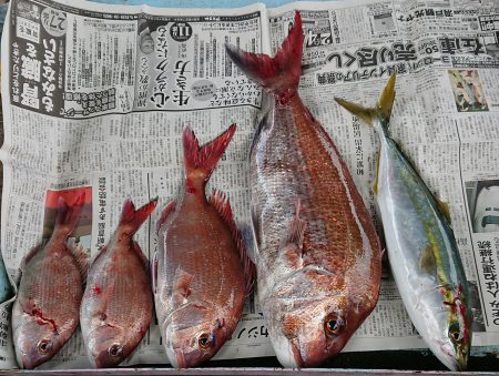 明神釣船 釣果