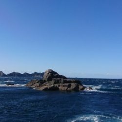 しば渡船 釣果