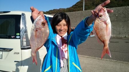 大進丸（新潟） 釣果