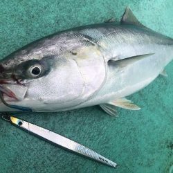 広進丸 釣果