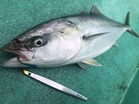 広進丸 釣果