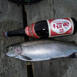 高萩ふれあいの里フィッシングエリア 釣果