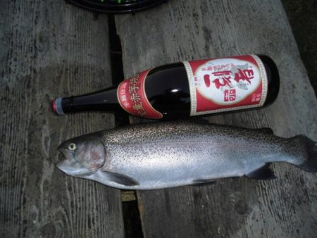 高萩ふれあいの里フィッシングエリア 釣果