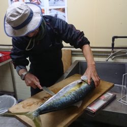 宝生丸 釣果