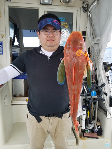 遊漁船　ニライカナイ 釣果