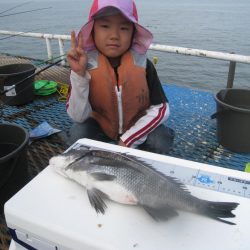 オリジナルメーカー海づり公園(市原市海づり施設) 釣果