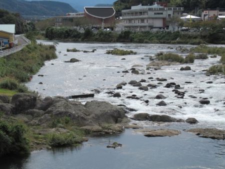 狩野川（狩野川漁業協同組合） 釣果