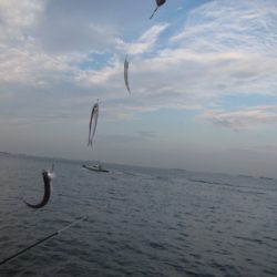 オリジナルメーカー海づり公園(市原市海づり施設) 釣果