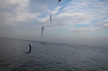 オリジナルメーカー海づり公園(市原市海づり施設) 釣果