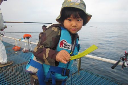 オリジナルメーカー海づり公園(市原市海づり施設) 釣果