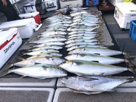 幸風（さちかぜ） 釣果