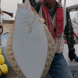 宝生丸 釣果