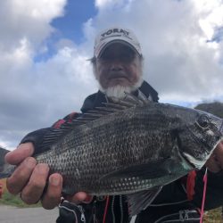 由良渡船 釣果