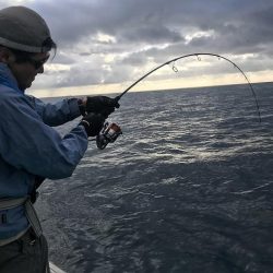 広進丸 釣果