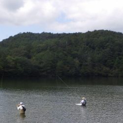 フィッシングレイクたかみや 釣果