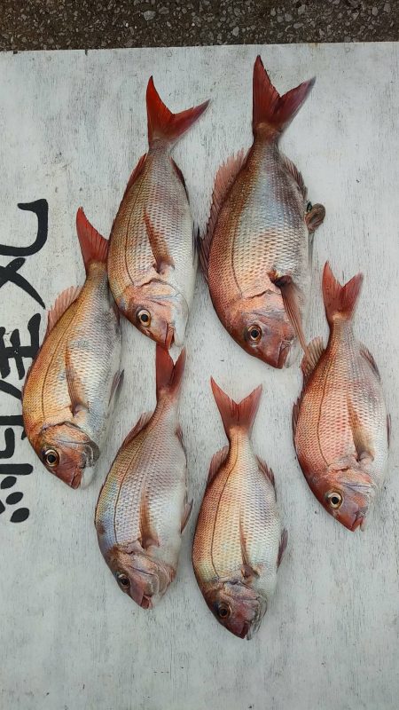 網屋丸 釣果