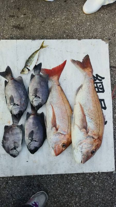 網屋丸 釣果