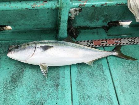 広進丸 釣果