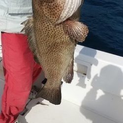 開進丸 釣果