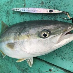 広進丸 釣果