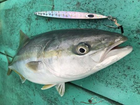 広進丸 釣果