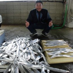 まとばや 釣果