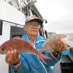 大進丸（愛知） 釣果