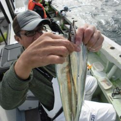 大進丸（愛知） 釣果