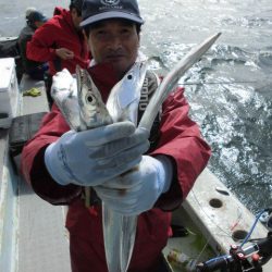 大進丸（愛知） 釣果