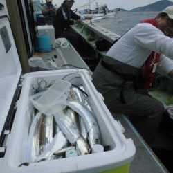 大進丸（愛知） 釣果