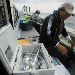 大進丸（愛知） 釣果