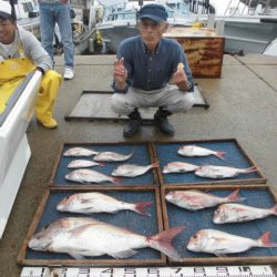 大進丸（愛知） 釣果