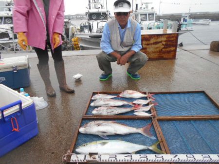 大進丸（愛知） 釣果