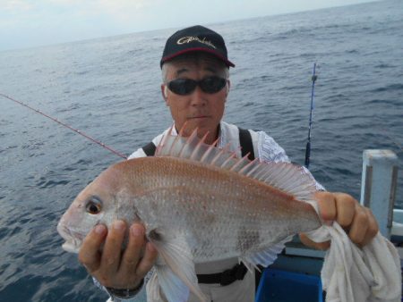 大進丸（愛知） 釣果