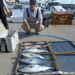 大進丸（愛知） 釣果