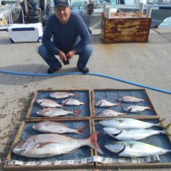 大進丸（愛知） 釣果