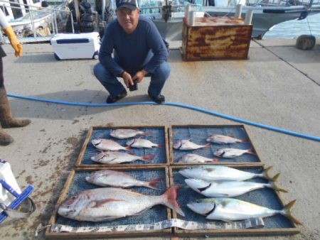 大進丸（愛知） 釣果