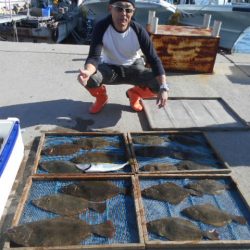 大進丸（愛知） 釣果