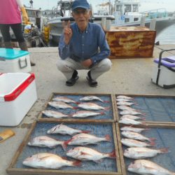 大進丸（愛知） 釣果